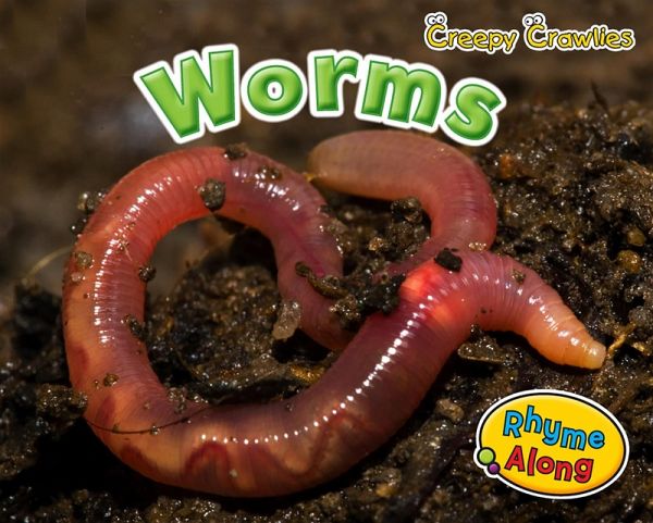 Worms (eBook, PDF)