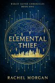 Elemental Thief (eBook, ePUB)