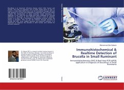 Immunohistochemical & Realtime Detection of Brucella in Small Ruminant