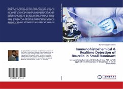 Immunohistochemical & Realtime Detection of Brucella in Small Ruminant - Saleem, Muhammad Zain