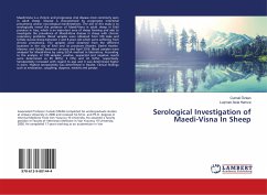Serological Investigation of Maedi-Visna In Sheep