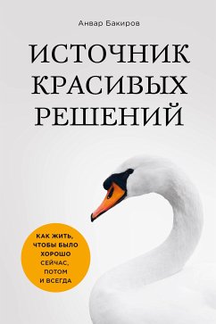 Источник красивых решений. Как жить, чтобы было хорошо сейчас, потом и всегда (eBook, ePUB) - Бакиров, Анвар