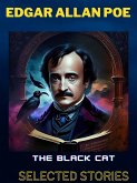 Edgar Allan Poe - Selected Stories (eBook, ePUB)
