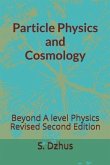 Particle Physics and Cosmology: Beyond A level Physics Revised Second Edition