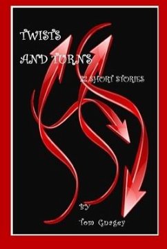 Twists and Turns: 32 short stories - Gnagey, Tom