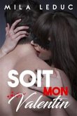 Soit mon VALENTIN ! (eBook, ePUB)