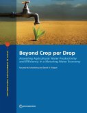 Beyond Crop per Drop