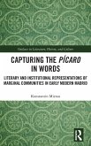 Capturing the Pícaro in Words
