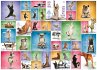 Eurographics 6000-0954 - Yoga Hunde ,... - Bild 1