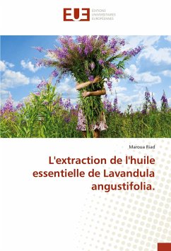 L'extraction de l'huile essentielle de Lavandula angustifolia. - Riad, Maroua