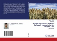 Mitigating the salt stress in Sorghum bicolor (L.) with salicylic acid