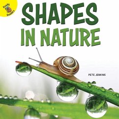 Shapes in Nature - Jenkins