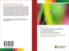 O Processo penal brasileiro: uma perspectiva constitucional e prática