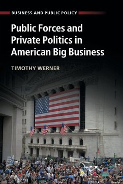 Public Forces and Private Politics in American Big Business - Werner, Timothy