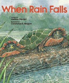 When Rain Falls - Stewart, Melissa