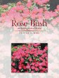 Rose Bush - Bild 1