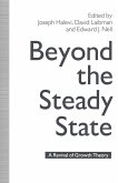 Beyond the Steady State (eBook, PDF)