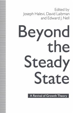 Beyond the Steady State (eBook, PDF) Beyond the Steady State (eBook, PDF)