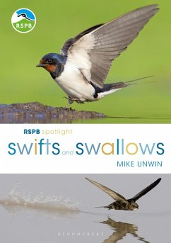 RSPB Spotlight Swifts and Swallows (eBook, PDF) - Unwin, Mike