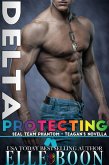 Delta: Protecting Teagan (SEAL Team Phantom Series, #6) (eBook, ePUB)