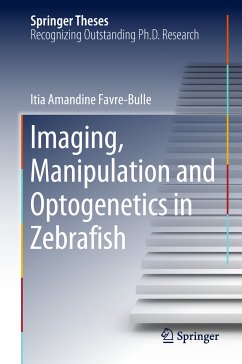 Imaging, Manipulation and Optogenetics in Zebrafish (eBook, PDF) - Favre‐Bulle, Itia Amandine