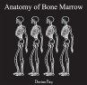 Anatomy of Bone Marrow (eBook, PDF) - Bild 1