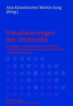 Visualisierungen des Umbruchs (eBook, PDF)