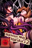 Righteous Ninja Haruka 2