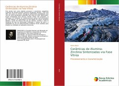 Cerâmicas de Alumina-Zircônia Sinterizadas via Fase Vítrea - Beck, Haine