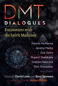DMT Dialogues (eBook, ePUB)