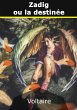 Zadig ou la destinée (eBook, ePUB) - Bild 1