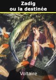 Zadig ou la destinée (eBook, ePUB)