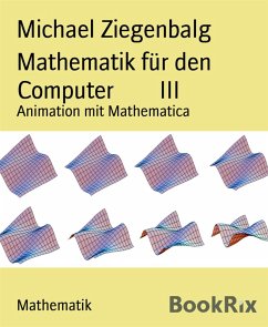 Cover Mathematik für den Computer III (eBook, ePUB)
