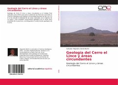 Geología del Cerro el Lince y áreas circundantes - Bertín, Salvador Alejandro Daniel