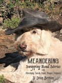 Meanderings -- Swapping Road Stories With Abraham, Sarah, Isaac, Hagar, Ishmael (eBook, ePUB)