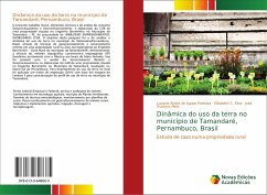 Dinâmica do uso da terra no município de Tamandaré, Pernambuco, Brasil