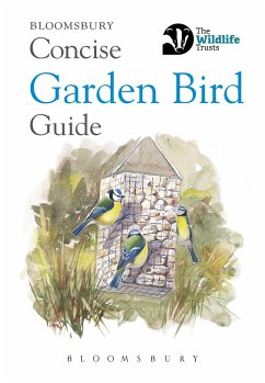 Concise Garden Bird Guide - Bloomsbury