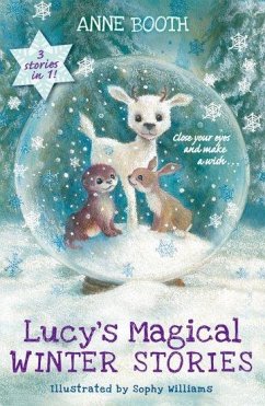 Lucy's Magical Winter Stories - Booth, Anne (, Kent, UK)