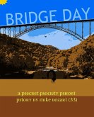 Bridge Day (eBook, ePUB)