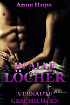 Cover In alle Löcher! - Versaute Geschichten (eBook, ePUB)