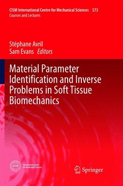 Material Parameter Identification and Inverse Problems in Soft Tissue Biomechanics