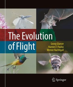 The Evolution of Flight - Glaeser, Georg;Paulus, Hannes F.;Nachtigall, Werner