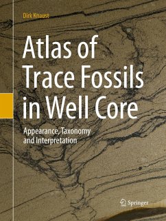 Atlas of Trace Fossils in Well Core - Knaust, Dirk