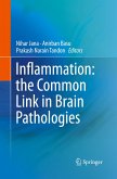 Inflammation: the Common Link in Brain Pathologies