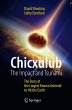Chicxulub: The Impact and Tsunami - Bild 1