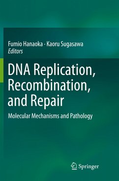 DNA Replication, Recombination, and Repair