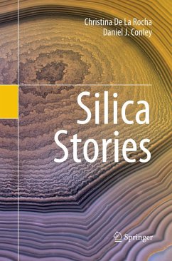 Cover Silica Stories