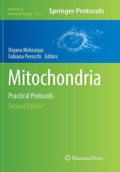 Mitochondria Mitochondria