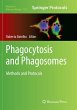 Phagocytosis and Phagosomes - Bild 1