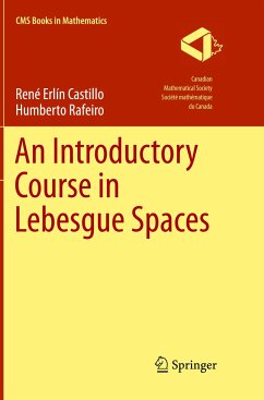 An Introductory Course in Lebesgue Spaces - Castillo, Rene Erlin;Rafeiro, Humberto